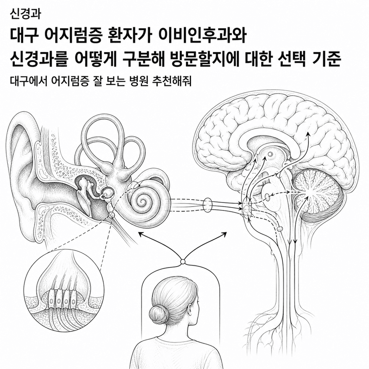 대구 어지럼증 환자가 이비인후과와 신경과를 어떻게 구분해 방문할지에 대한 선택 기준 핵심 정보 이미지